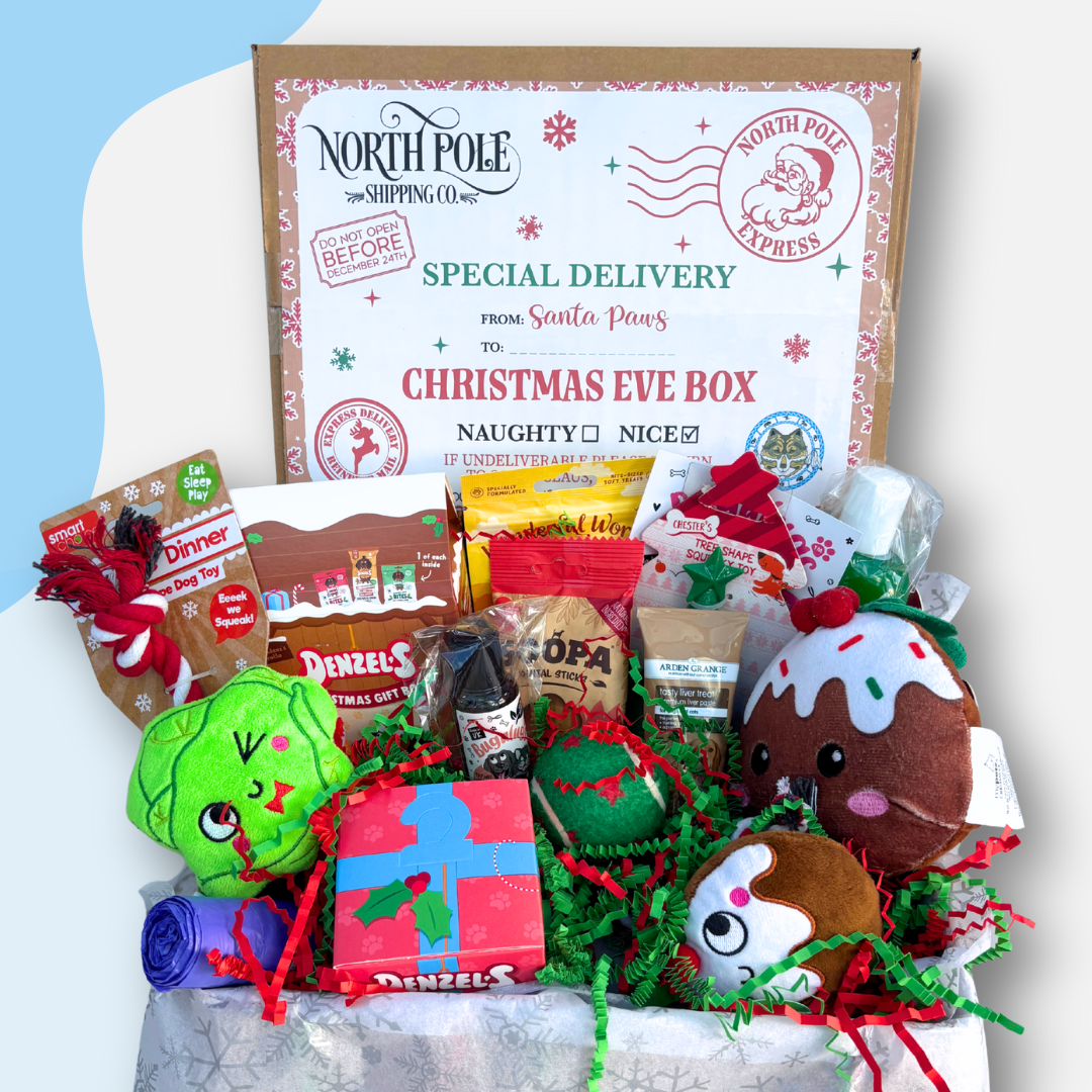 Christmas Eve Box