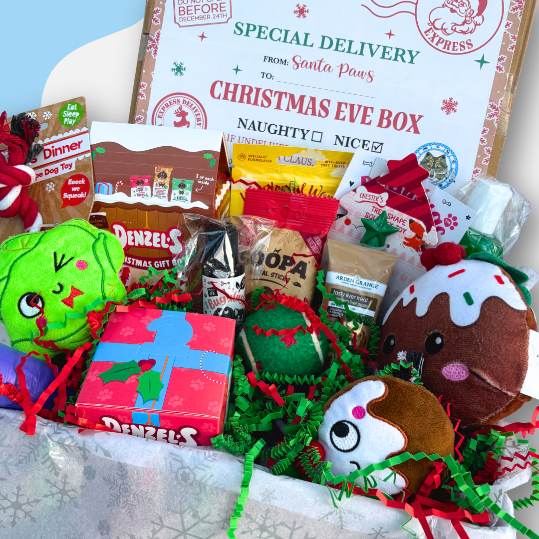 Christmas Eve Box
