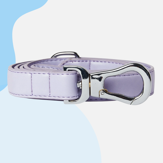 Barc London Vegan Leather Leads