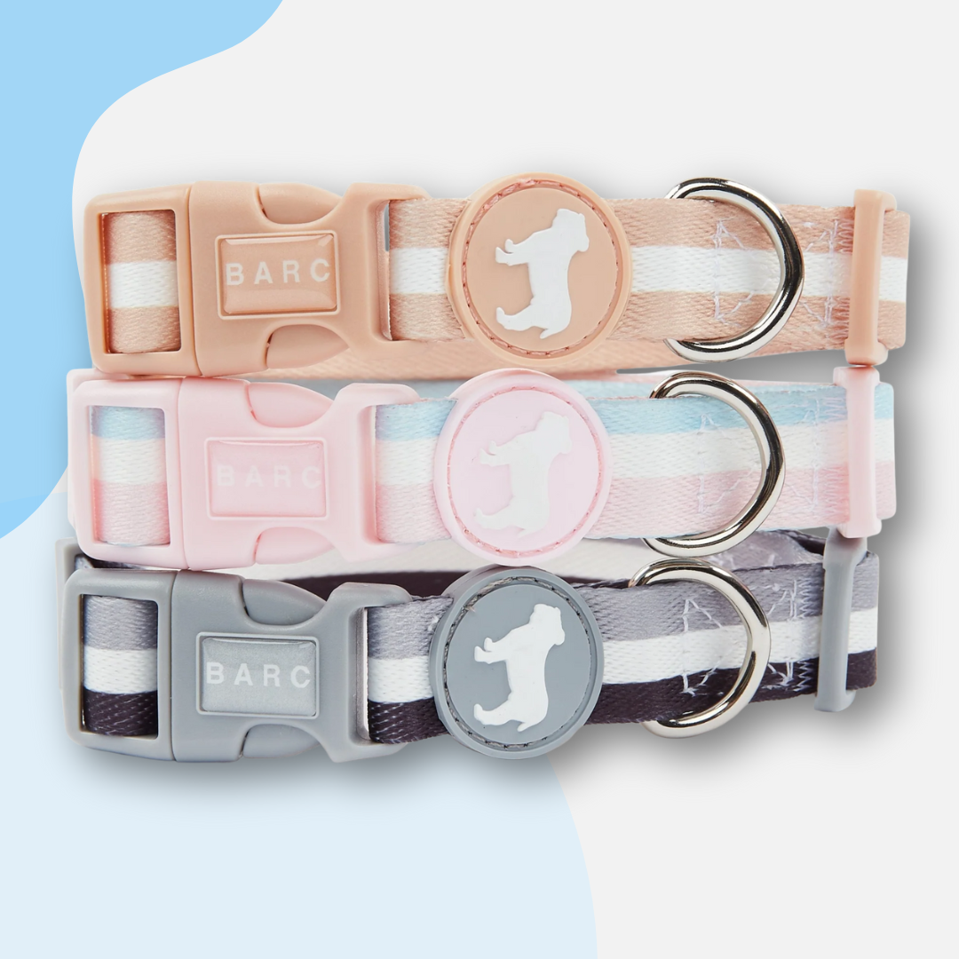 Barc London Fabric Collars