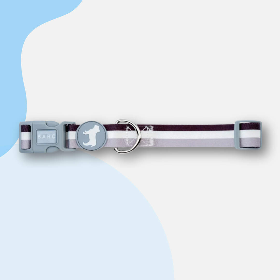 Barc London Fabric Collars