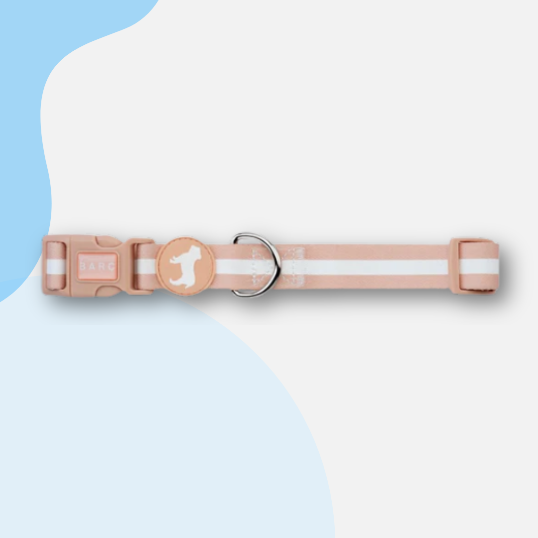 Barc London Fabric Collars