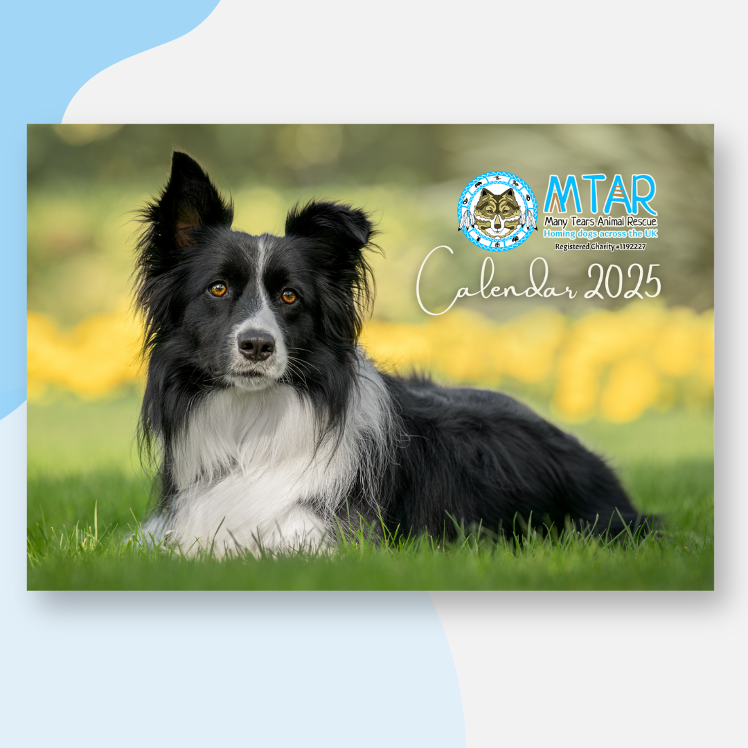 Many Tears 2025 A3 Calendar