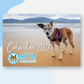 A 2027 calendar cover featuring a dog on a beach with the text 'Calendar 2027' and the MTAR Many Tears Animal Rescue logo. The calendar is shown as a mockup with a light blue and white abstract background.
