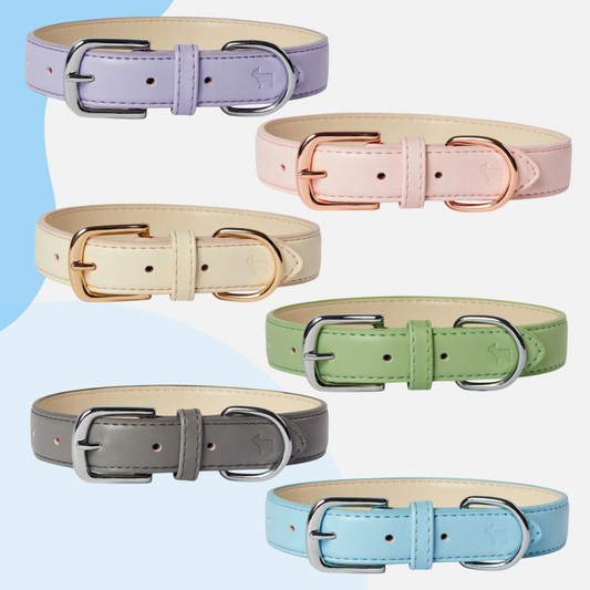 Barc London Vegan Leather Collars