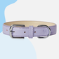 Barc London Vegan Leather Collars