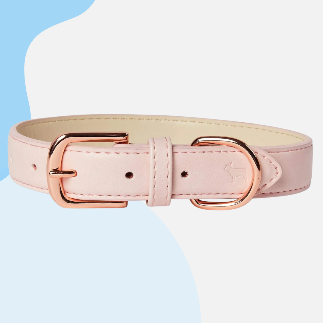 Barc London Vegan Leather Collars