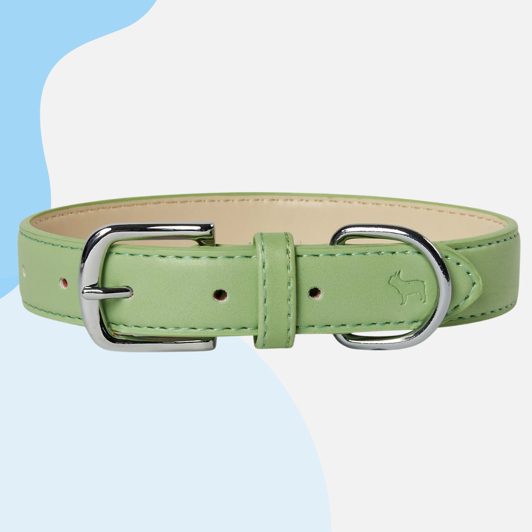Barc London Vegan Leather Collars
