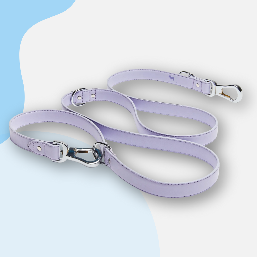 Barc London Vegan Leather Adjustable Leads