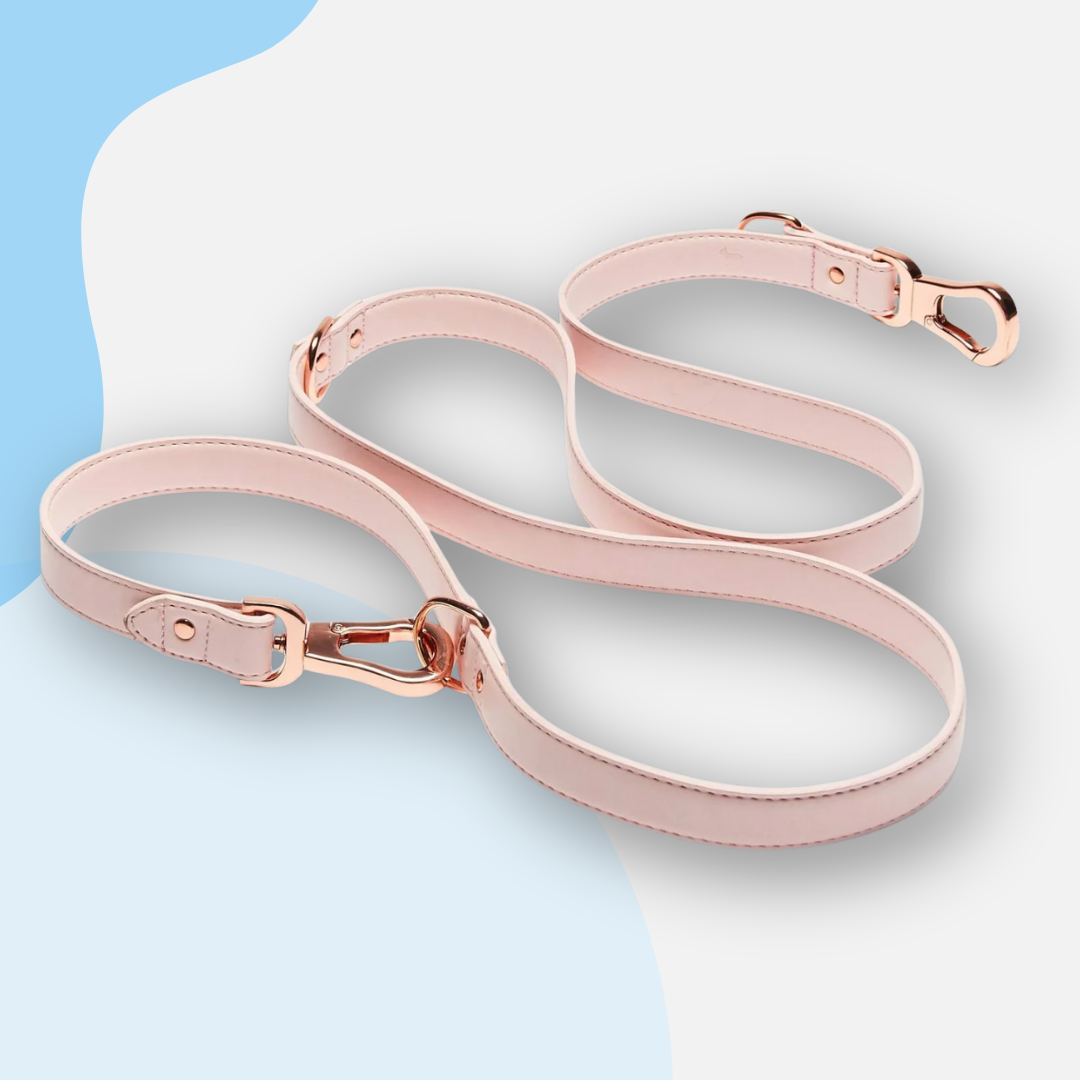 Barc London Vegan Leather Adjustable Leads