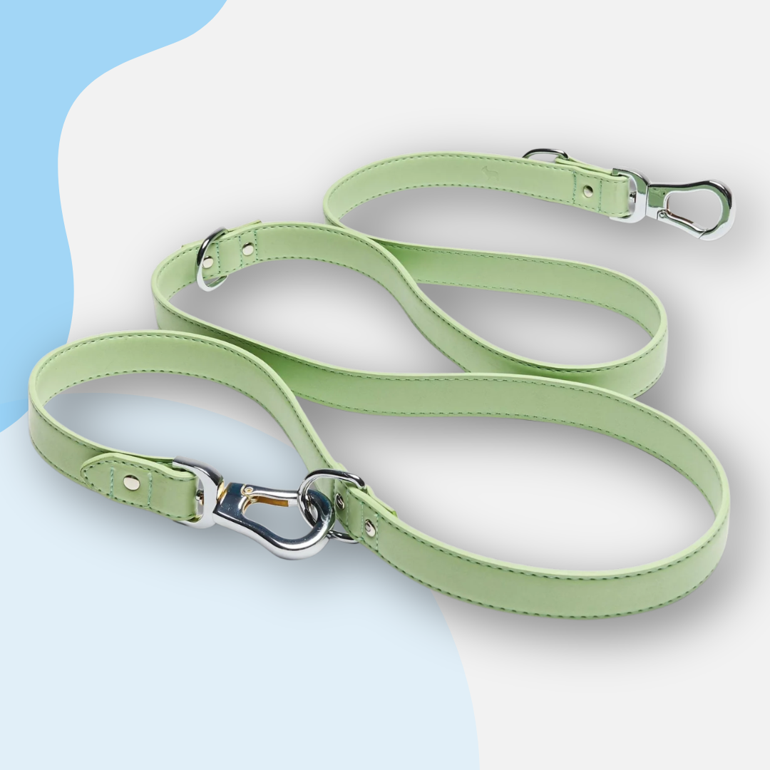 Barc London Vegan Leather Adjustable Leads