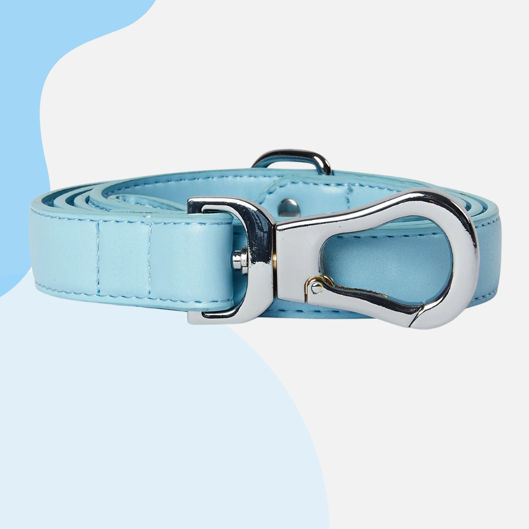 Barc London Vegan Leather Leads