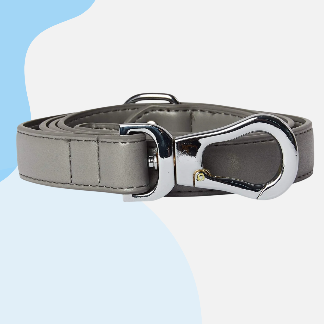 Barc London Vegan Leather Leads