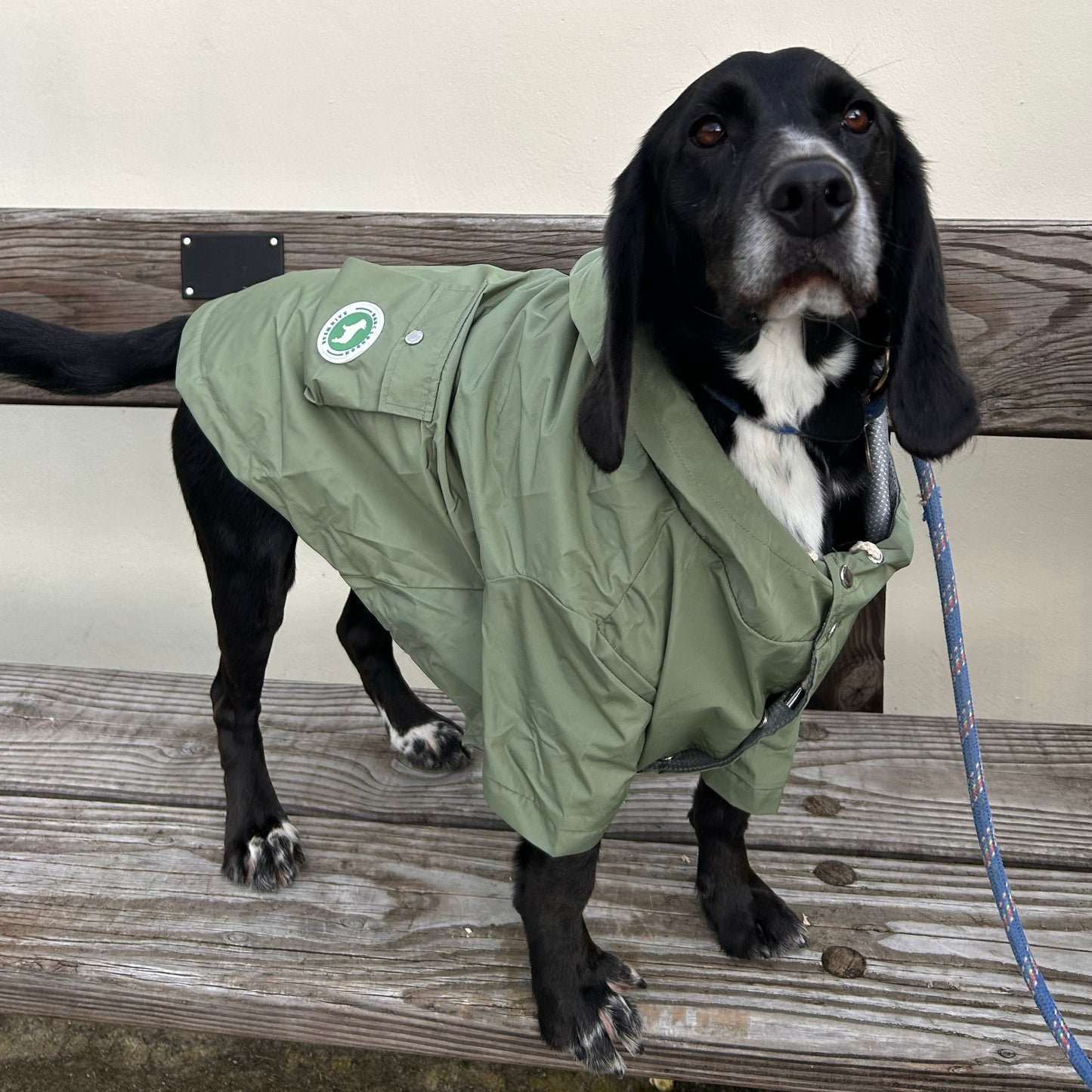 Barc London Original Raincoats