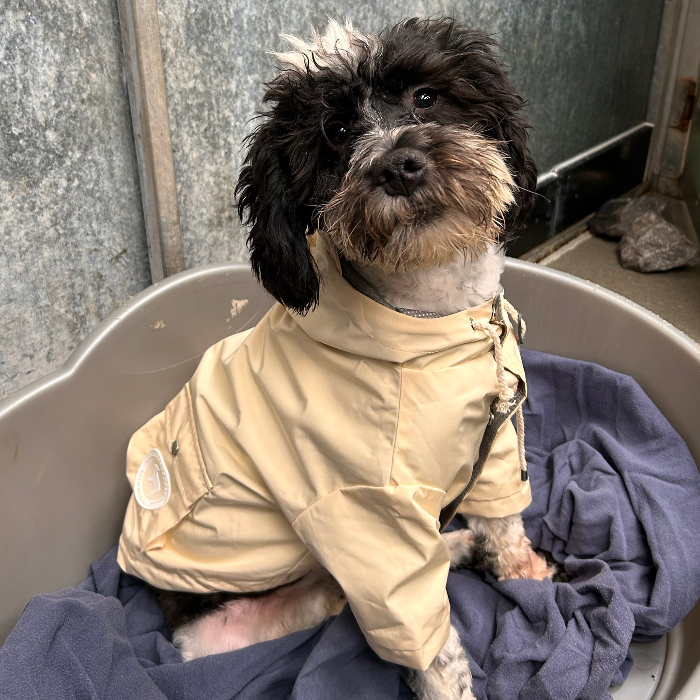 Barc London Original Raincoats