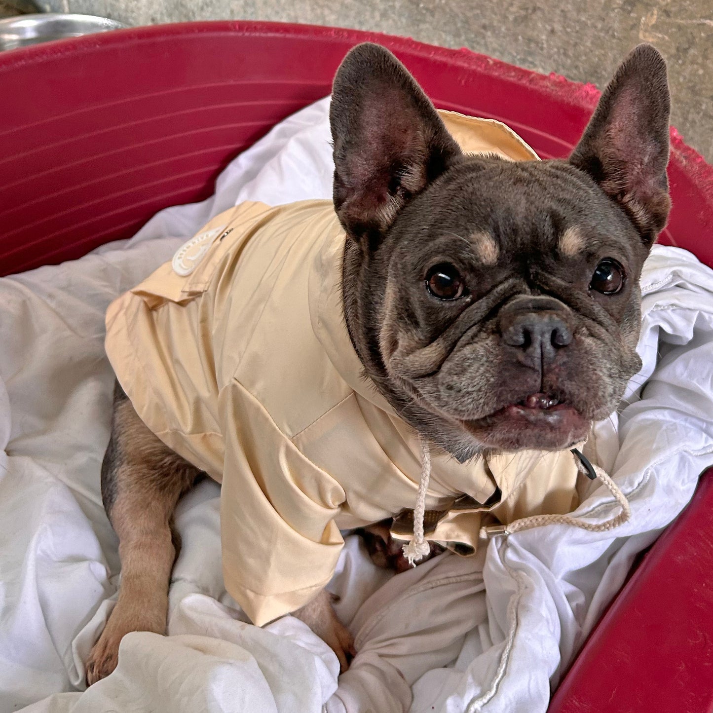 Barc London Original Raincoats