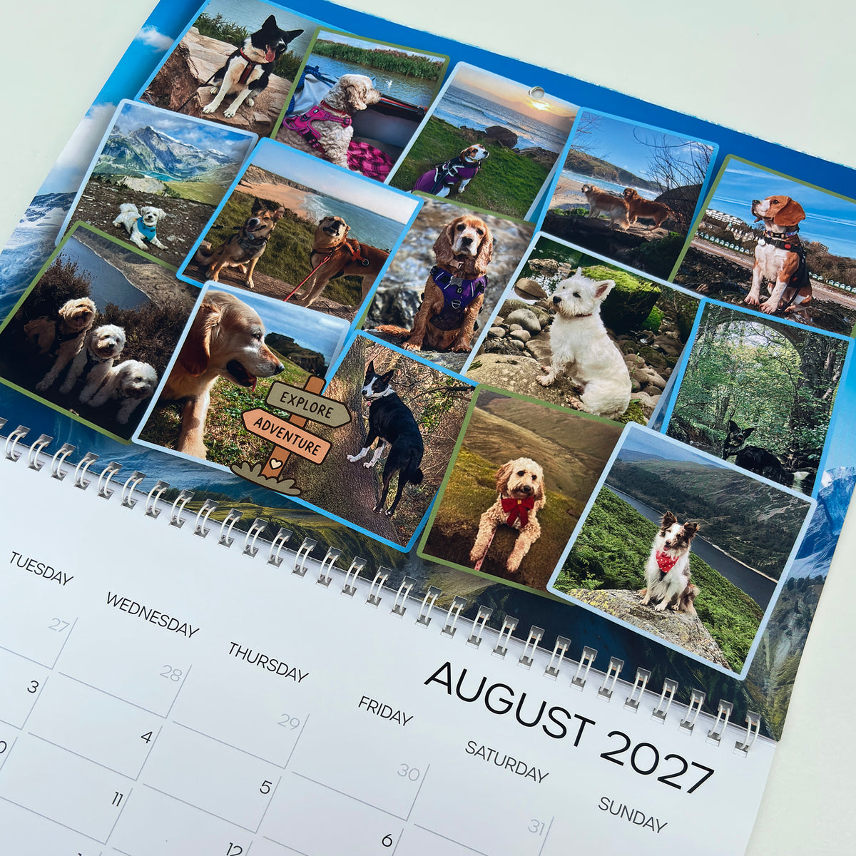 A spiral-bound August 2027 desk calendar page featuring a collage of dog photographs across the top and a weekly calendar grid on a white background.