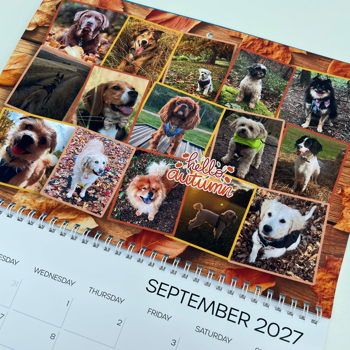 A spiral-bound 2027 calendar page featuring a collage of dog photos with autumn leaves and the text 'hello autumn' in the center. The bottom of the page shows the September 2027 date grid.