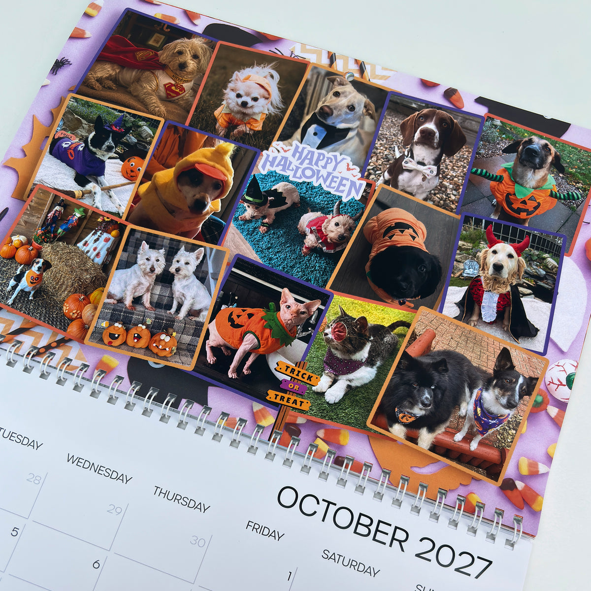 A spiral-bound October 2027 desk calendar page featuring a collage of pet photos dressed in Halloween costumes, with pumpkin decorations and the date October 2027 visible at the bottom.