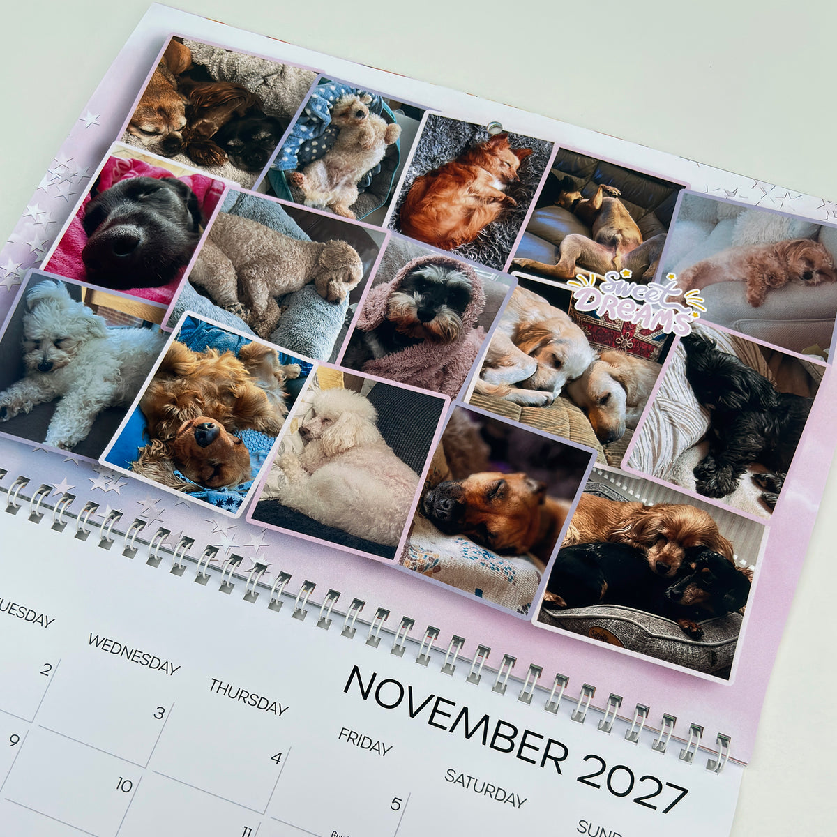 A spiral-bound desk calendar page showing a grid of pet photos with the text 'November 2027' visible at the bottom, photographed on a light neutral background.