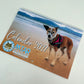 A 2027 spiral bound Many Tears Animal Rescue calendar. The calendar cover shows a dog on a beach.