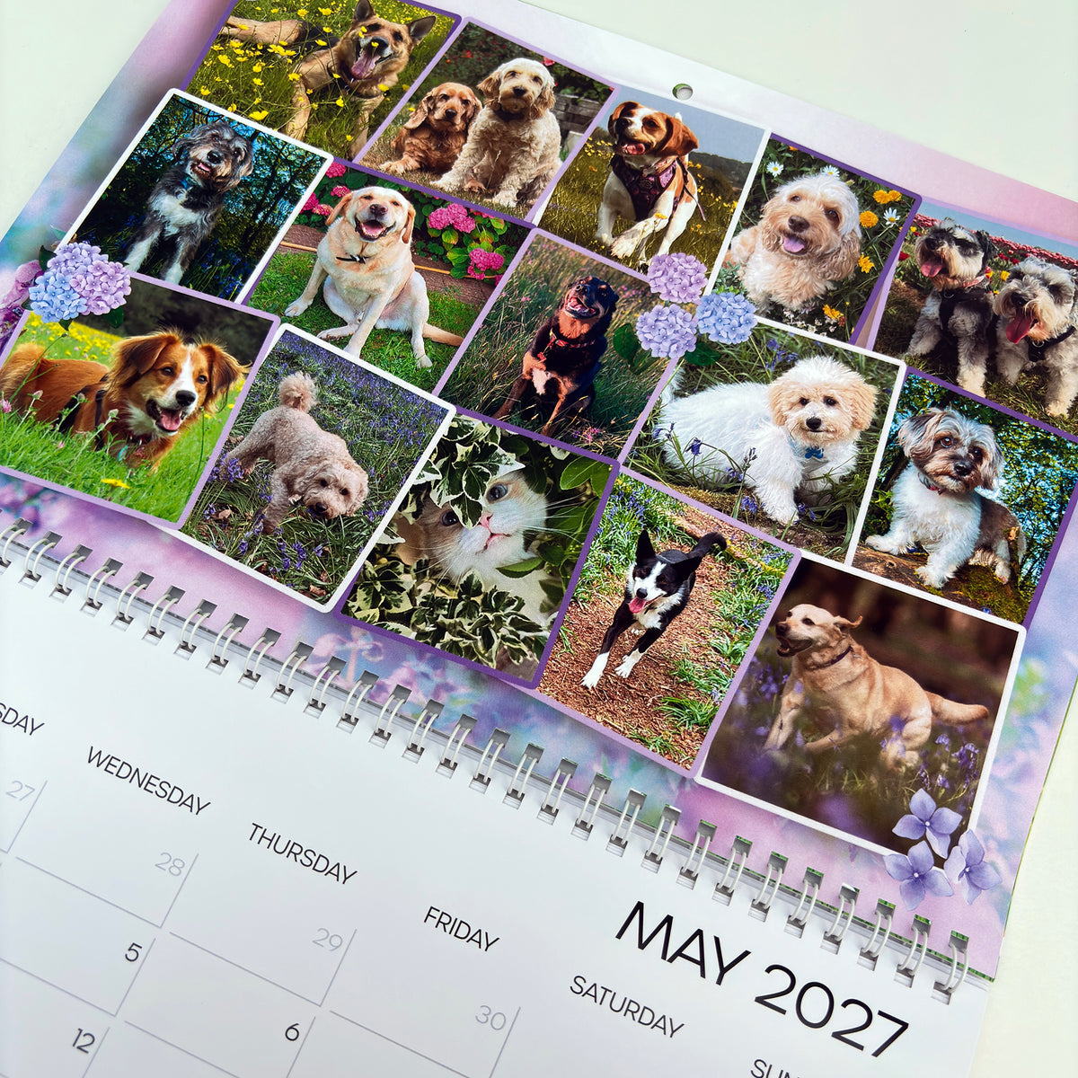 A spiral-bound May 2027 desk calendar page featuring a collage of dog photographs with purple floral accents, photographed on a light background.