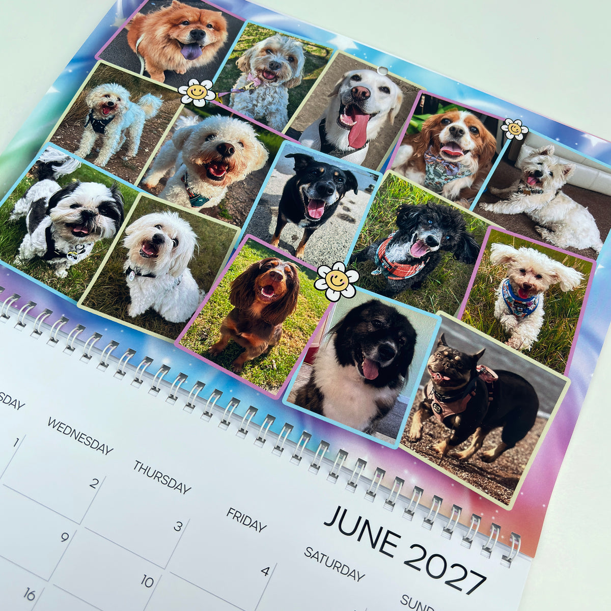 A spiral-bound 2027 desk calendar page featuring a grid of custom pet photos of dogs, with 'JUNE 2027' printed on the calendar section below.