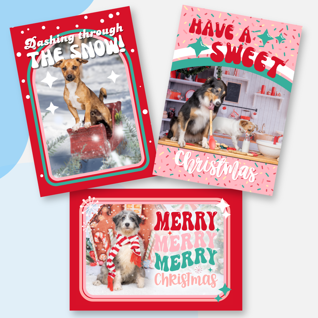 Many Tears Christmas Cards (Pack of 6)