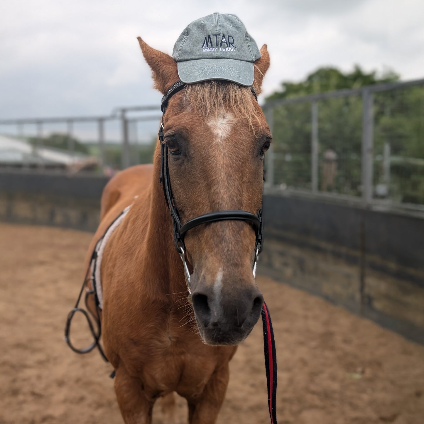Many Tears Baseball Cap
