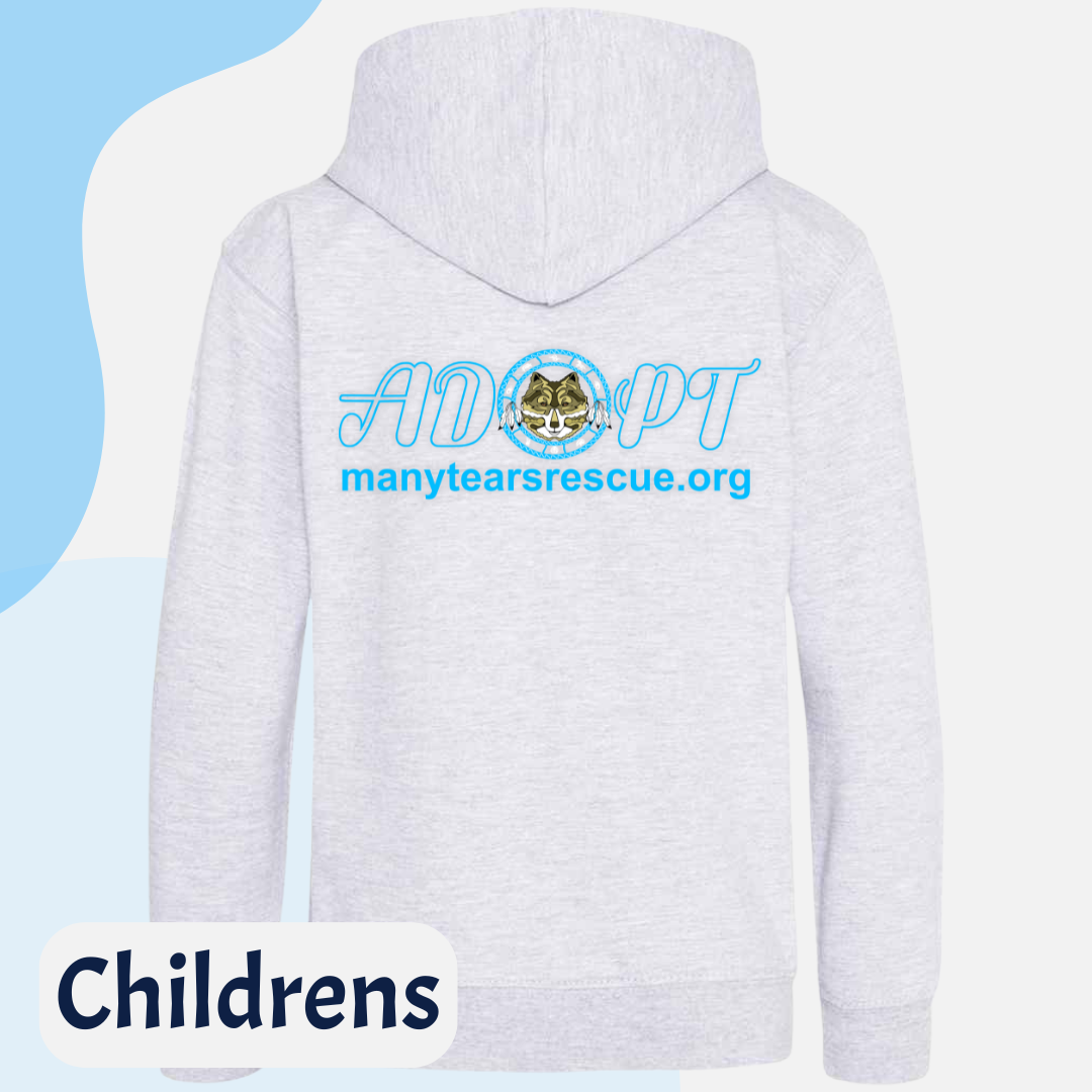 Many Tears Childrens Hoodie *Pre-Order*