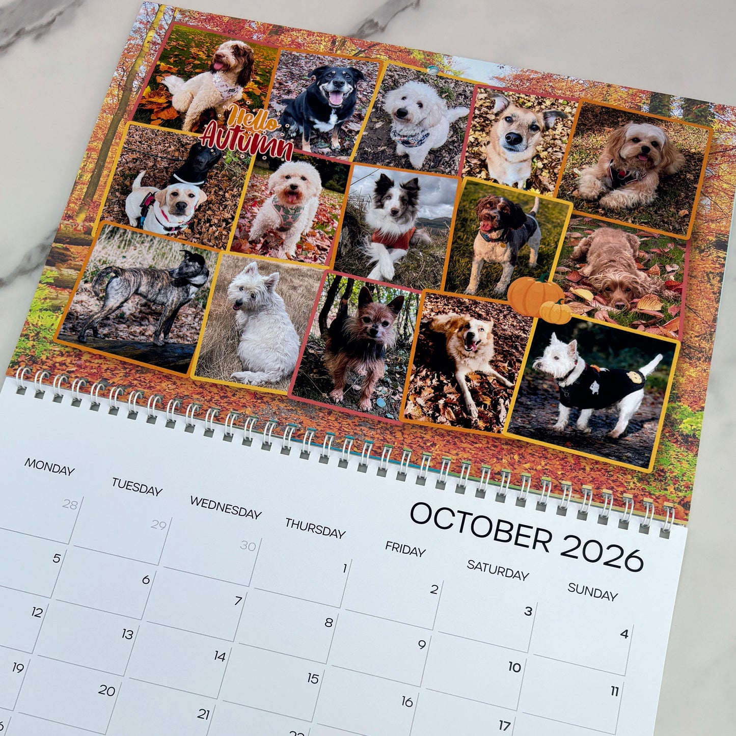 Many Tears 2026 A3 Calendar