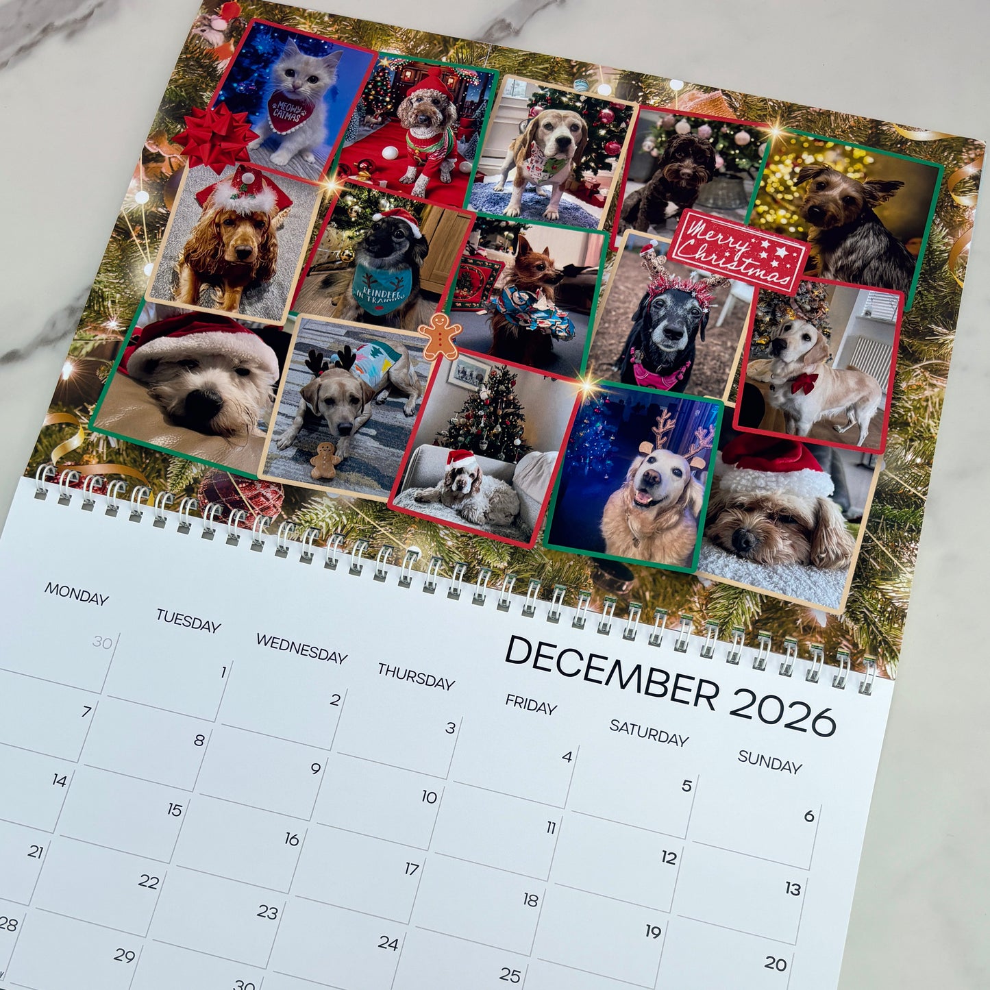 Many Tears 2026 A3 Calendar