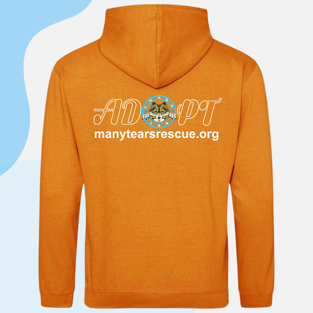 Many Tears Hoodie *Pre-Order*
