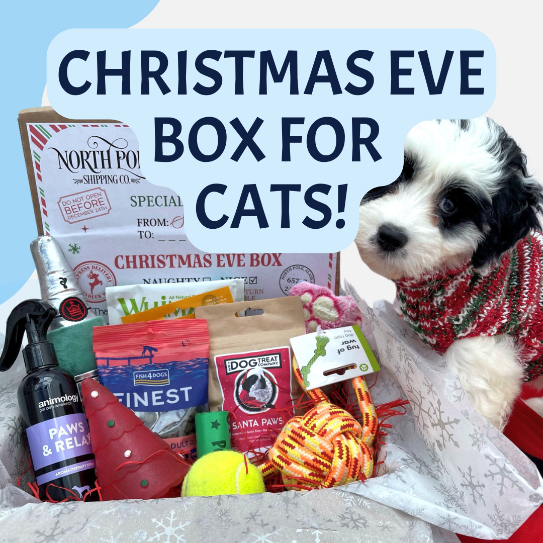 CAT Christmas Eve Boxes