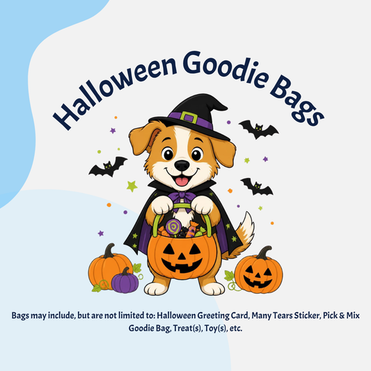 Halloween Goodie Bag