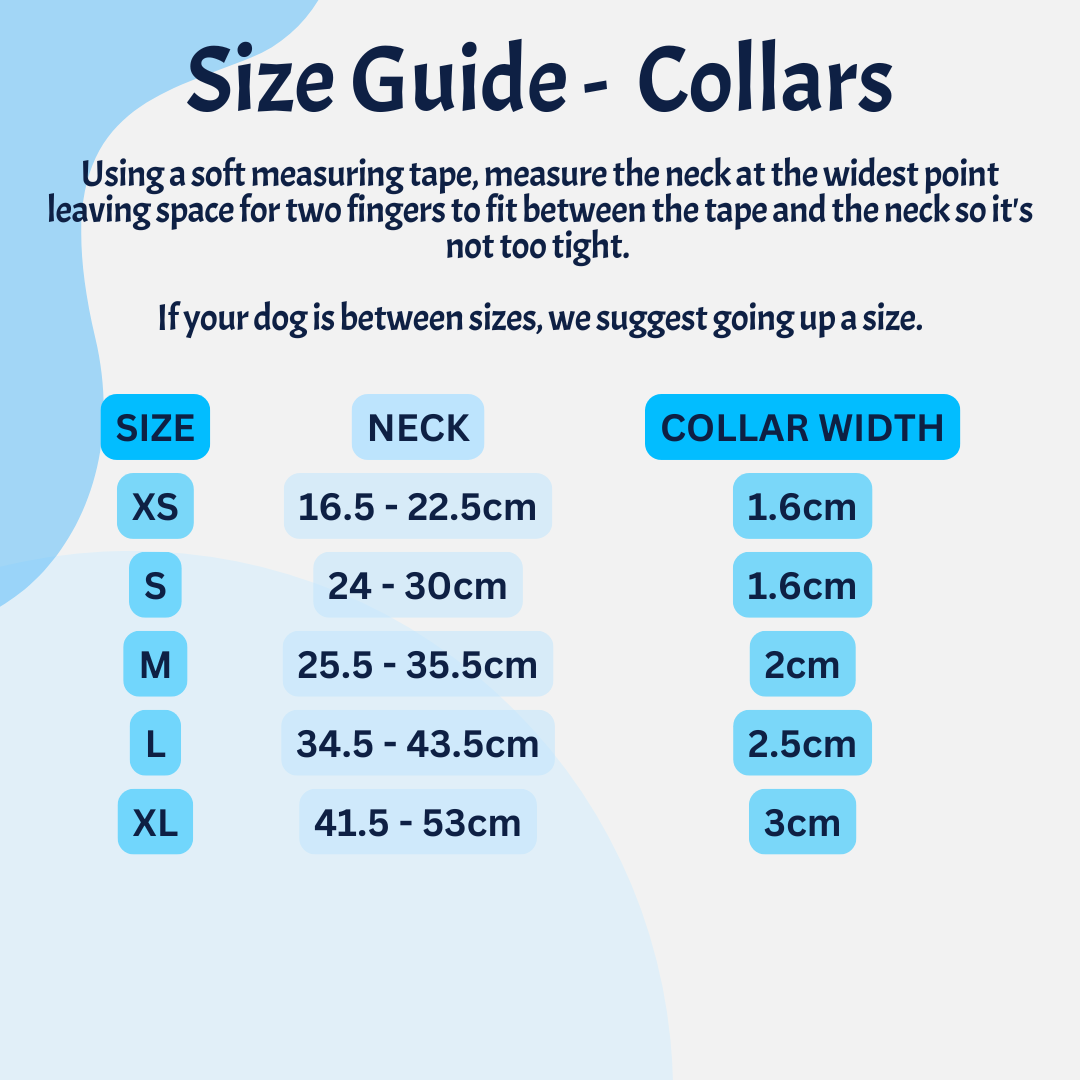 Barc London Vegan Leather Collars