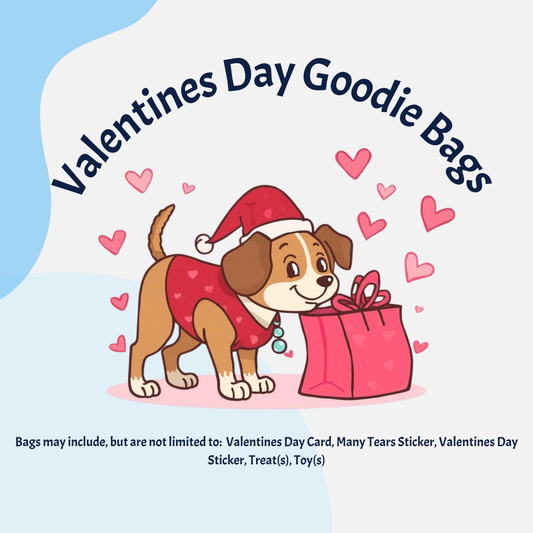 Valentines Day Goodie Bag